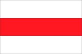 Vlag gemeente Brielle 70x100 cm