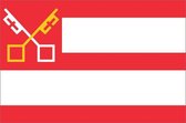 Vlag gemeente Boxtel 70x100 cm