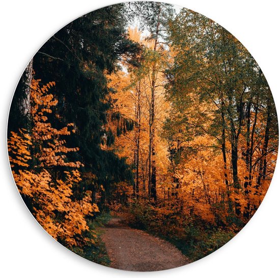 Forex Wandcirkel - Bos met Oranje Bladeren - 80x80cm Foto op Wandcirkel (met ophangsysteem)