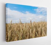 Onlinecanvas - Schilderij - Golden Wheat Field And Sunny Day Art Horizontal Horizontal - Multicolor - 60 X 80 Cm