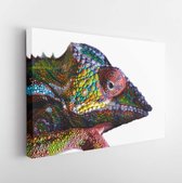 Onlinecanvas - Schilderij - Chameleon Isolated On The Background Art Horizontal Horizontal - Multicolor - 75 X 115 Cm