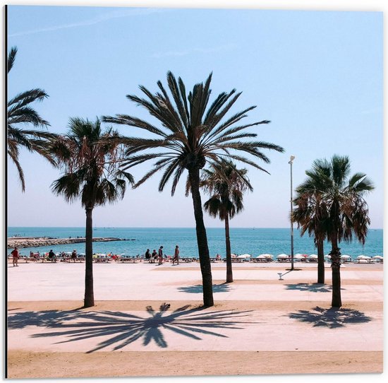Dibond - Palmbomen op het Strand - 50x50cm Foto op Aluminium (Met Ophangsysteem)