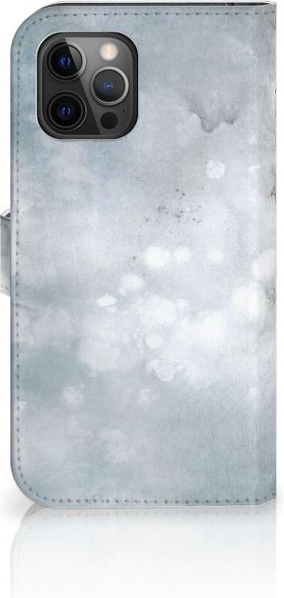 Hoesje Apple iPhone 12 Pro Max Painting Grey