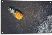Tuinposter – Ananas bij het Water - 90x60cm Foto op Tuinposter  (wanddecoratie voor buiten en binnen)