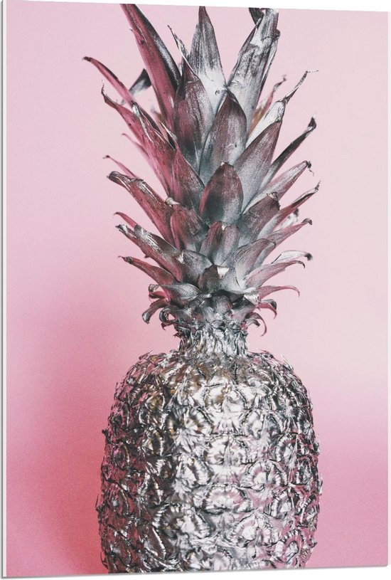 Acrylglas - Zilveren Ananas  met Roze Achtergrond - 60x90cm Foto op Acrylglas (Met Ophangsysteem)