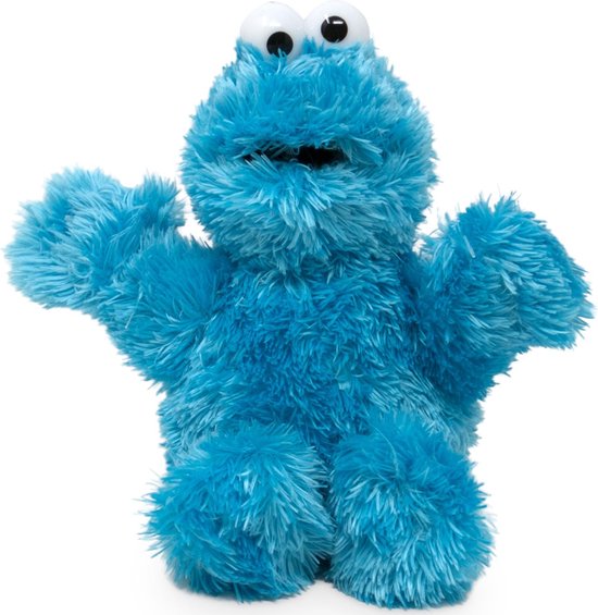 Consequent Het beste Lao Sesamstraat - Koekiemonster - Knuffel Pluche - 23 cm | bol.com