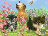 Kleuren op nummer  -Kittens en vlinders 22.23x29.85cm