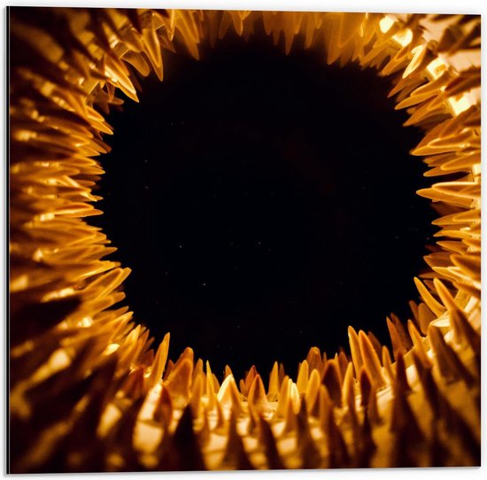 Dibond - Gouden Pinnen - 50x50cm Foto op Aluminium (Met Ophangsysteem)