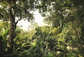 Komar Fotobehang Dschungel