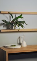 Boomstam wandplank nature geolied - 100x20x40