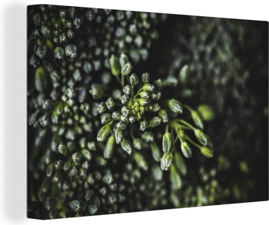 Canvas Schilderij Close-up van een stronk broccoli - 60x40 cm - Wanddecoratie