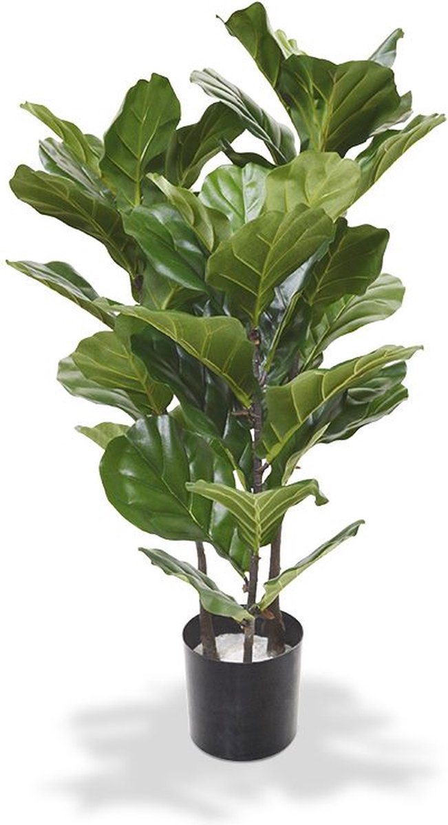 maxifleur Kunstplanten Lyrata kunstplant 95cm Groen
