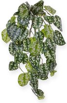Scindapsus Pictus kunsthangplant 70 cm deluxe