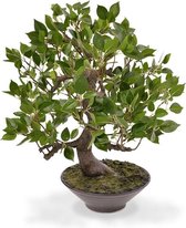 Maxifleur kunstplanten - Kunst Ficus Wiandi - Kunst Bonsai -  in schaal - 45cm - Niet van echt te onderscheiden!