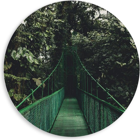 Forex Wandcirkel - Groene Brug in de Bossen - 80x80cm Foto op Wandcirkel (met ophangsysteem)