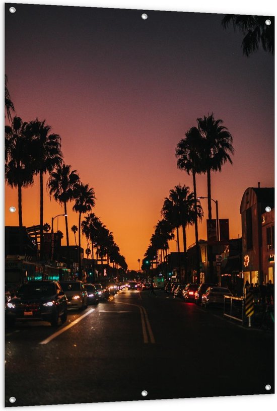 Tuinposter – Autoweg met Palmbomen tijdens Zonsondergang - 100x150cm Foto op Tuinposter  (wanddecoratie voor buiten en binnen)