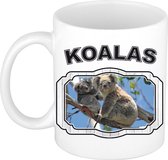 Dieren liefhebber koala beer mok 300 ml - kerramiek - cadeau beker / mok koalaberen liefhebber