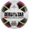 Derbystar Classic TT / Light Dames - Maat L