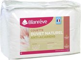BLANREVE Natural Quilt Cotton Percale Down - Anti-mijt - 240x260cm