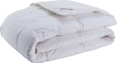 Dreamstar Hiver Duvet Xclusive 100% Duvet d'oie de Sibérie 200x220