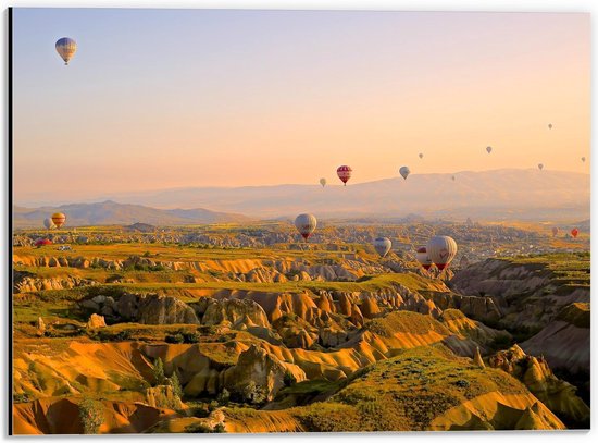 Dibond - Luchtballonnen boven Heuvels - 40x30cm Foto op Aluminium (Met Ophangsysteem)