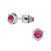 Aramat jewels ® - Zweerknopjes zeshoek roze chirurgisch staal zilverkleurig 5mm