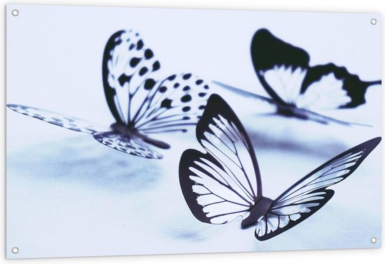 Tuinposter – Doorzichtige Vlinders - 120x80cm Foto op Tuinposter  (wanddecoratie voor buiten en binnen)