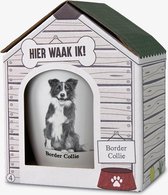 Mok - Hond - Cadeau - Border Collie - Gevuld met een verpakte zuurtjesmix - In cadeauverpakking met gekleurd lint