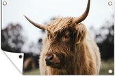Tuinposters buiten Schotse Hooglander - Dieren - Horens - 90x60 cm - Tuindoek - Buitenposter