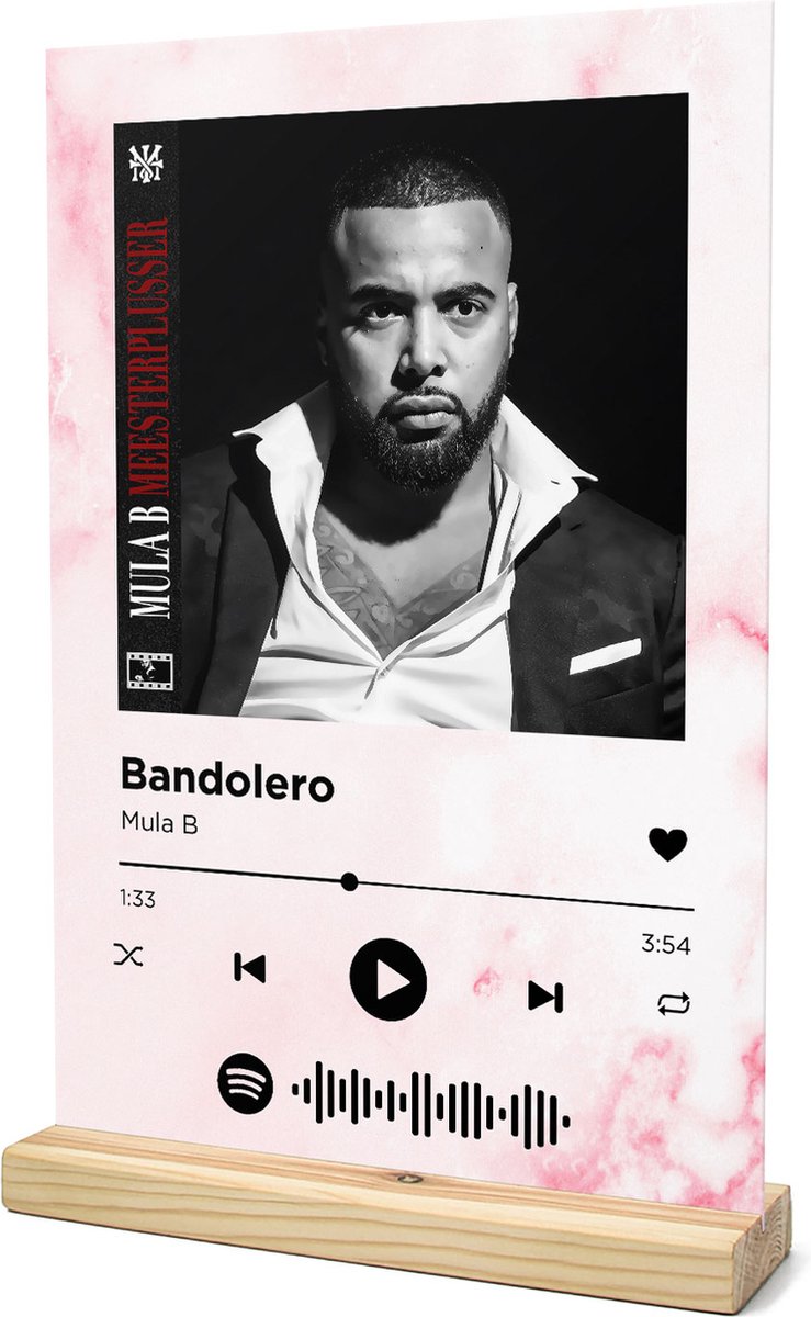 Songr Spotify Muziek Bordje - Bandolero - Mula B - 20x30 - Roze - Dibond  Aluminium... | bol.com