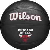 Basketball Ball Wilson NBA Team Tribute. Blue