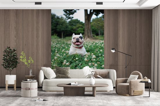 Behang - Fotobehang Dier - Klaver - Hond - Breedte 155 cm x hoogte 240 cm