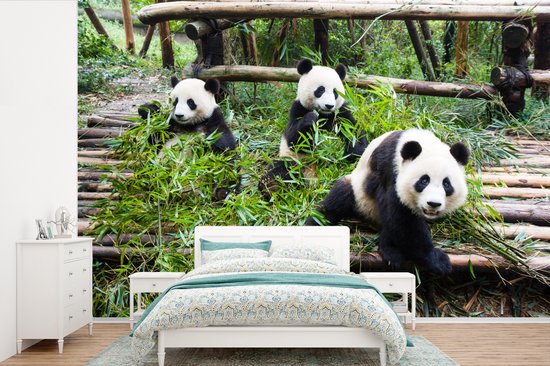 Behang - Fotobehang Panda's - Bamboe - Bladeren - Breedte 360 cm x hoogte 240 cm