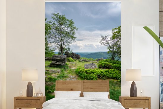 Behang - Fotobehang Een hooggelegen punt in de Ardennen - Breedte 195 cm x hoogte 300 cm