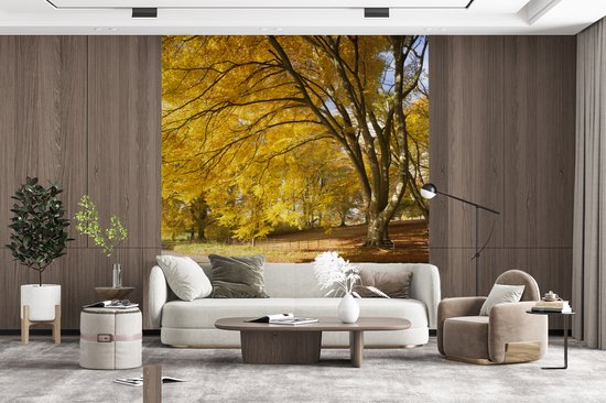 Behang - Fotobehang Gele bladeren in de bossen van het Engelse Nationaal park New Forest - Breedte 200 cm x hoogte 220 cm