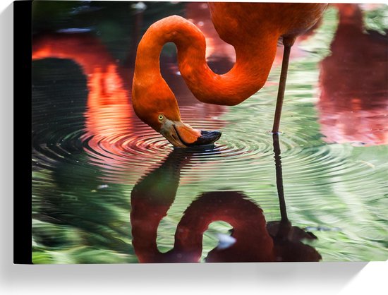 WallClassics - Canvas - Flamingo met Kop in het Water - 40x30 cm Foto op Canvas Schilderij (Wanddecoratie op Canvas)