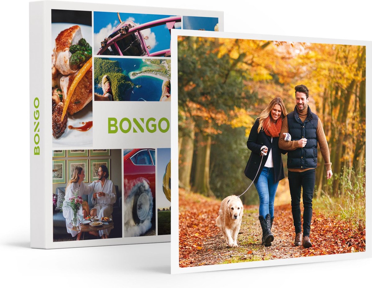 Bongo Bon - 2-DAAGSE IN NEDERLAND MET JE HOND - Cadeaukaart cadeau voor man of vrouw