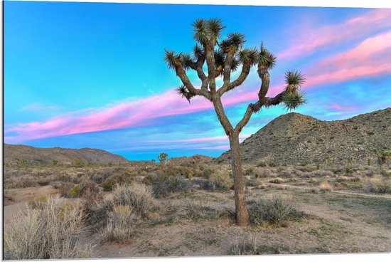 Dibond - Landschap met Prachtig Roze en Blauw Gekleurde Lucht - 90x60 cm Foto op Aluminium (Met Ophangsysteem)