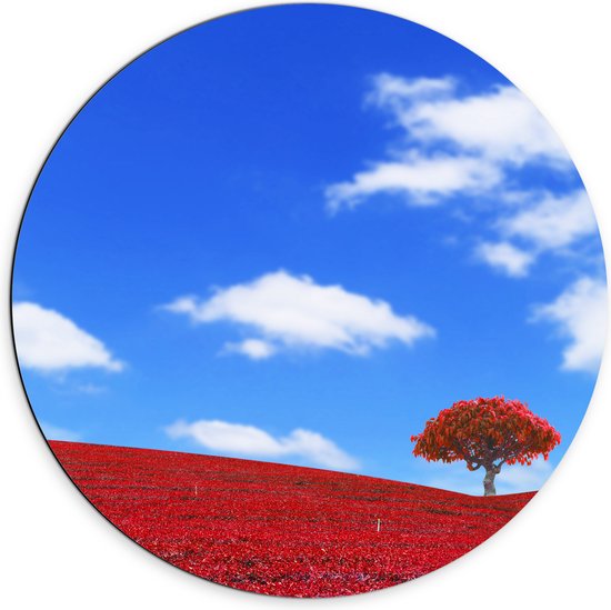 Dibond Muurcirkel - Kleurrijk Rood Gekleurd Landschap met Blauwe Lucht - 70x70 cm Foto op Aluminium Muurcirkel (met ophangsysteem)