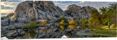 PVC Schuimplaat- Rotsen aan het Water bij Joshua Tree National Park overdag - 150x50 cm Foto op PVC Schuimplaat