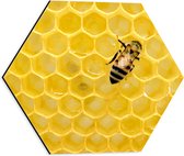 WallClassics - Dibond Hexagon - Bij tussen de Honing - 40x34.8 cm Foto op Hexagon (Met Ophangsysteem)