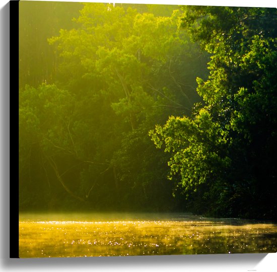 Canvas - Struiken aan de Rand van het Bos - 60x60 cm Foto op Canvas Schilderij (Wanddecoratie op Canvas)