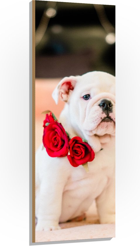 Hout - Aandoenlijke Engelse Bulldog Puppy met Rozen - 50x150 cm - 9 mm dik - Foto op Hout (Met Ophangsysteem)