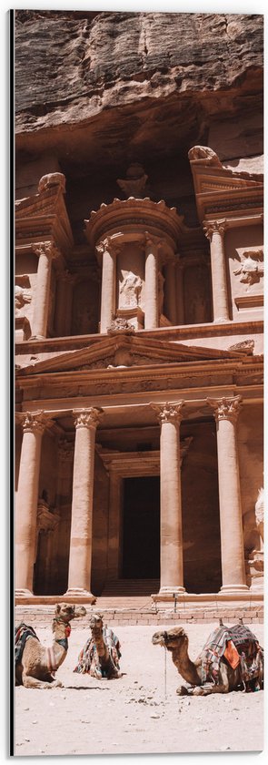 WallClassics - Dibond - Monument Al Khazneh - Jordanië - 20x60 cm Foto op Aluminium (Met Ophangsysteem)