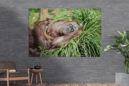 Tuinposter 180x120 cm - Tuindecoratie Aap - Jong - Gras - Slapen - Poster voor in de tuin - Buiten decoratie - Schutting tuinschilderij - Tuindoek muurdecoratie - Wanddecoratie balkondoek