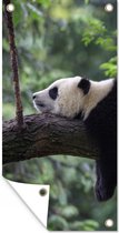 Tuinposter Panda - Boom - Dieren - Natuur - 30x60 cm - Tuindoek - Buitenposter