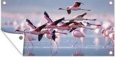 Tuinposter Flamingo - Vogel - Water - Roze - 60x30 cm - Tuindoek - Buitenposter