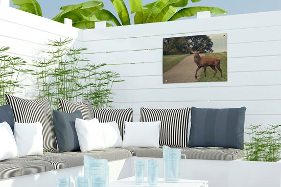 Décoration de Jardin Cerf - Vert - Herbe - 40x30 cm - Toile de jardin - Poster extérieur