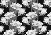 Fotobehang - Vlies Behang - Bloemenpatroon in zwart-wit - 368 x 254 cm