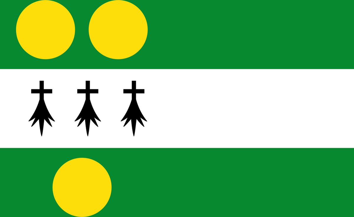 Vlag Anthisnes 120x180cm
